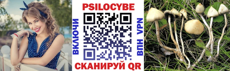 как найти закладки  Красновишерск  мега онион  Псилоцибиновые грибы мухоморы 
