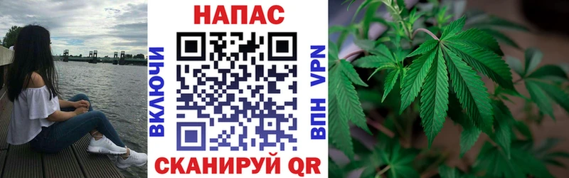 цена   Красновишерск  Бошки Шишки конопля 